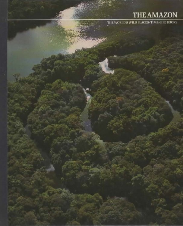 THE AMAZON