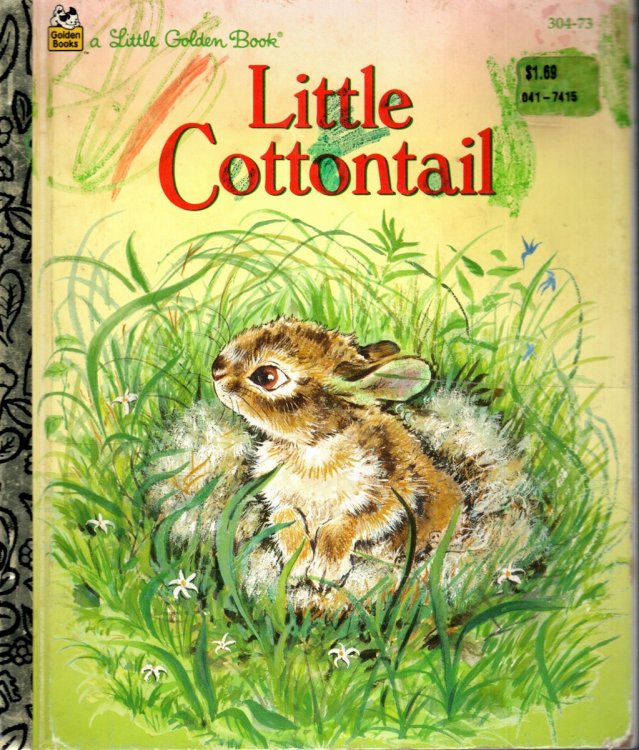 LITTLE COTTONTAIL