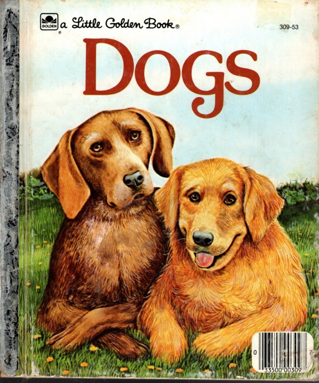 DOGS
