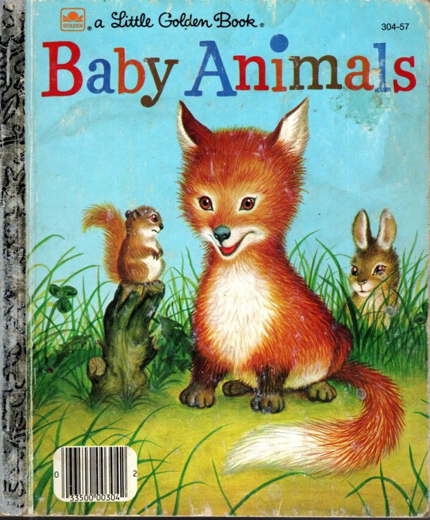 BABY ANIMALS
