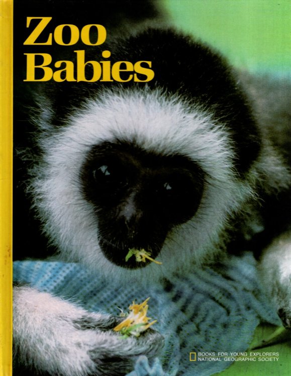 ZOO BABIES