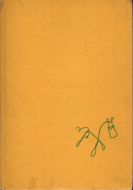 THE LITTLE KID'S CRAFT BOOK