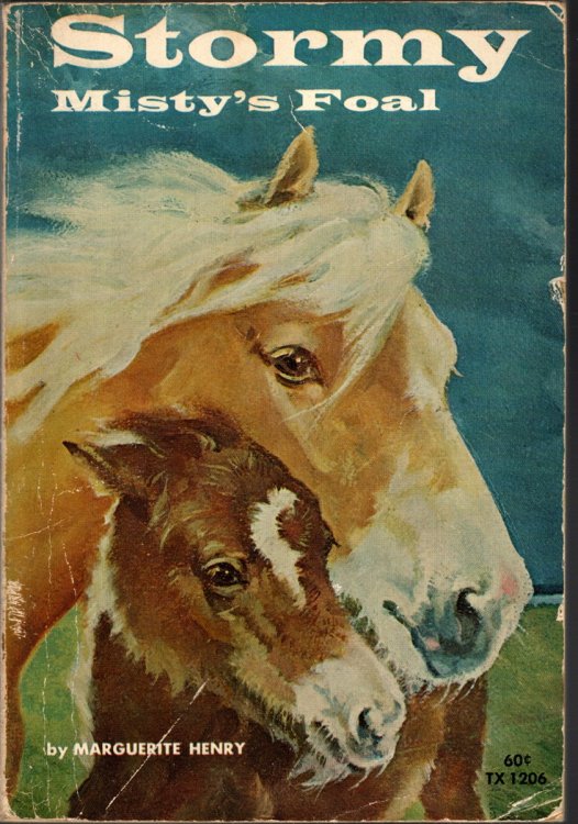 STORMY MISTYS FOAL