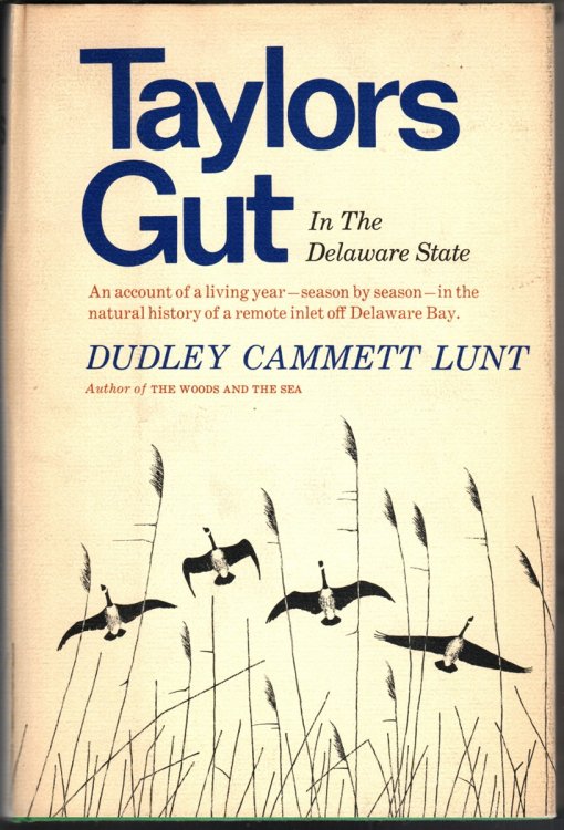 TAYLOR'S GUT In the Delaware State