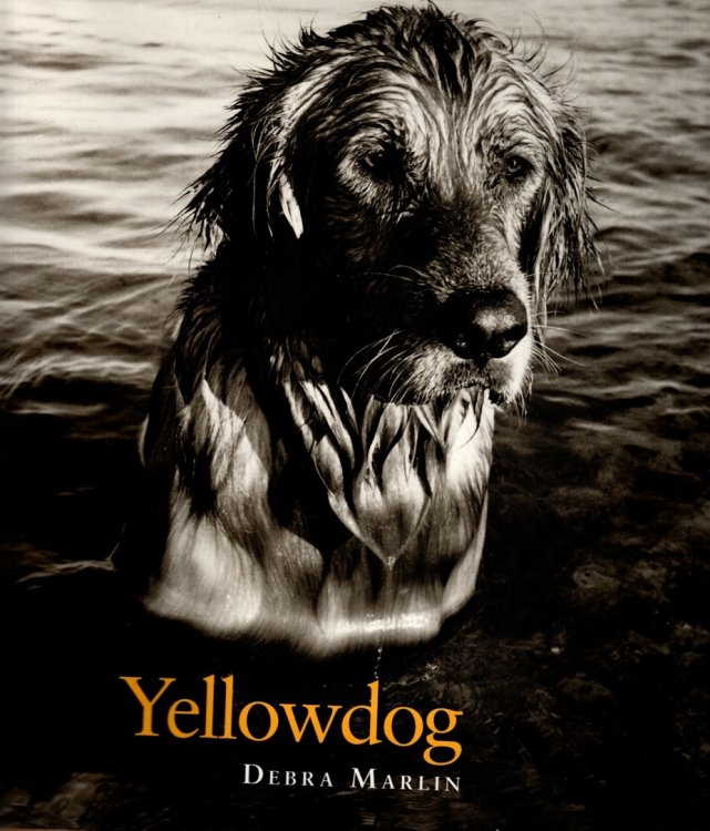 YELLOWDOG