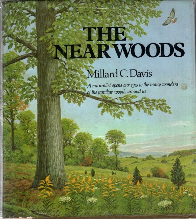 The Near Woods