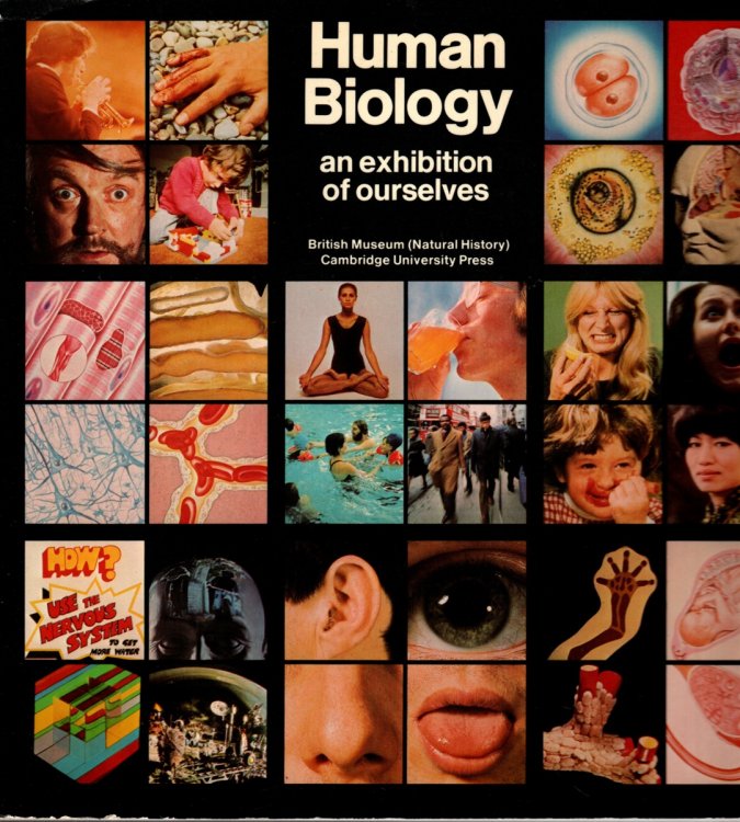HUMAN BIOLOGY An Exhibition of Ourselves