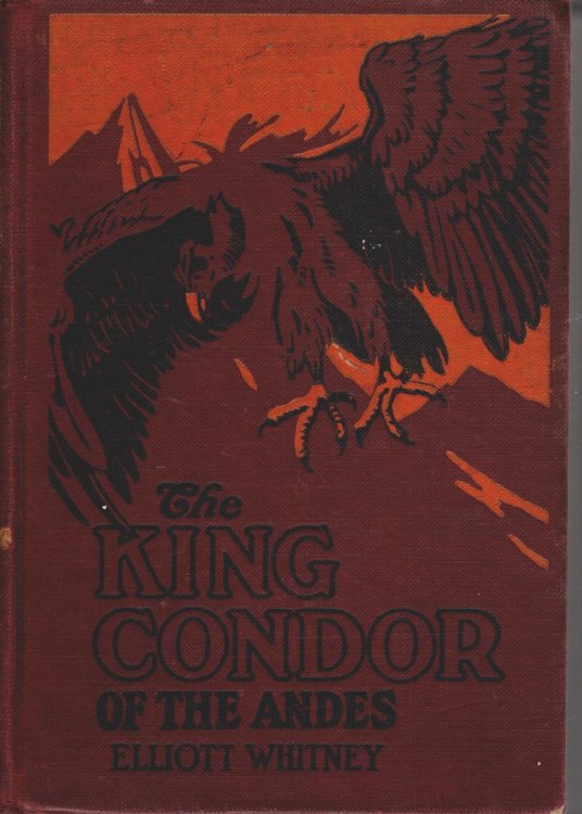 THE KING CONDOR OF THE ANDES