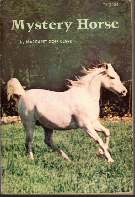 MYSTERY HORSE