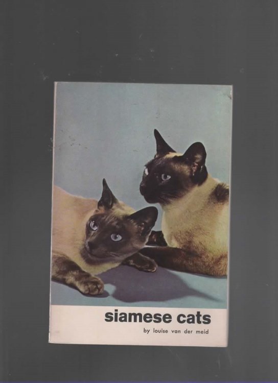 SIAMESE CATS
