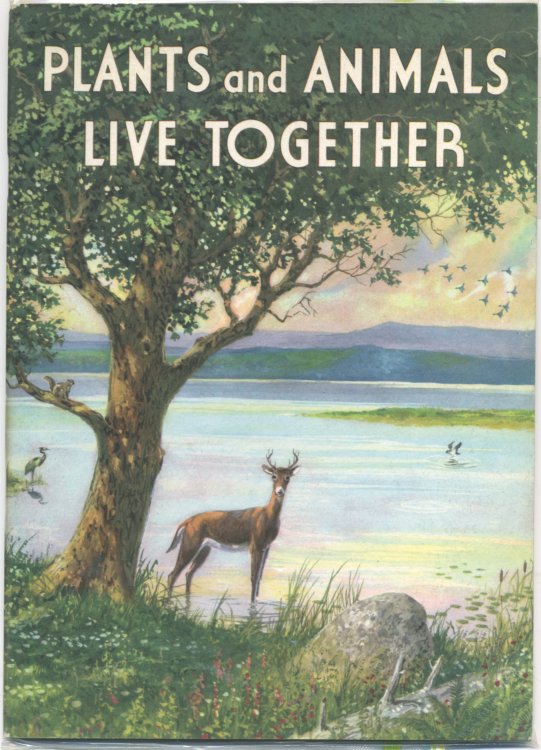 PLANTS AND ANIMALS LIVE TOGETHER