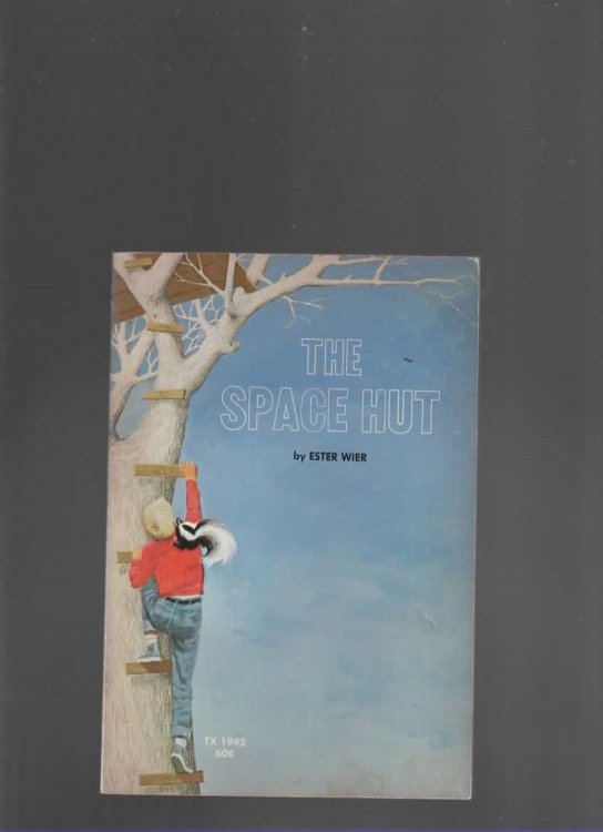 THE SPACE HUT