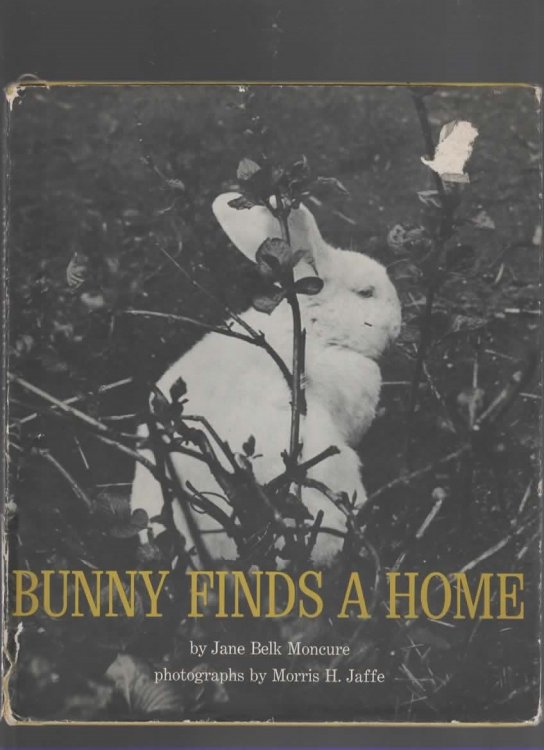 BUNNY FINDS A HOME