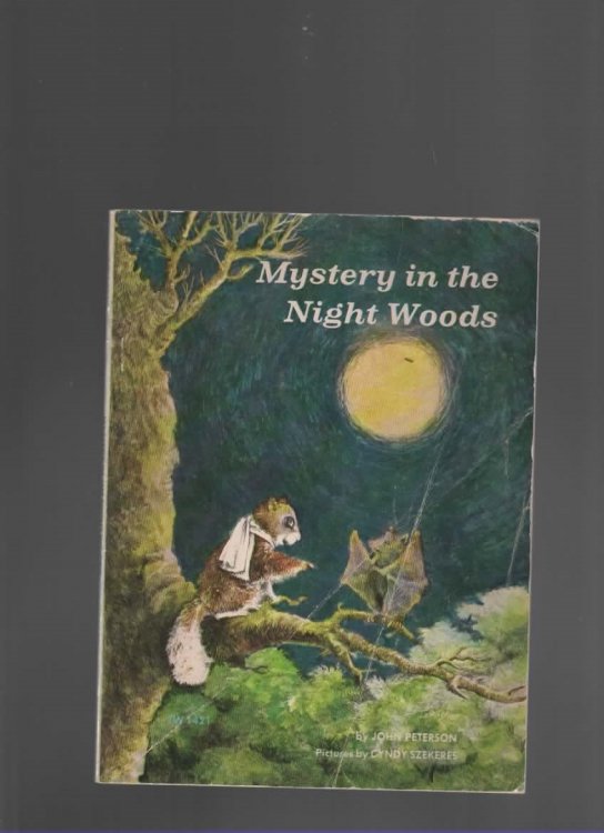 MYSTERY IN THE NIGHT WOODS