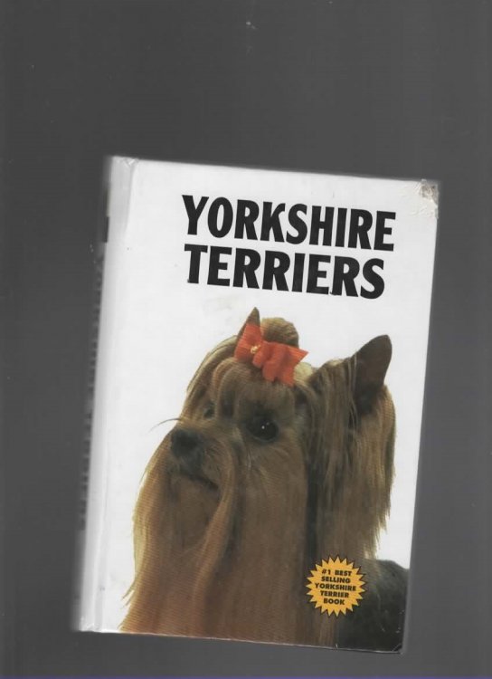 YORKSHIRE TERRIERS