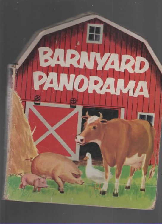 BARNYARD PANORAMA