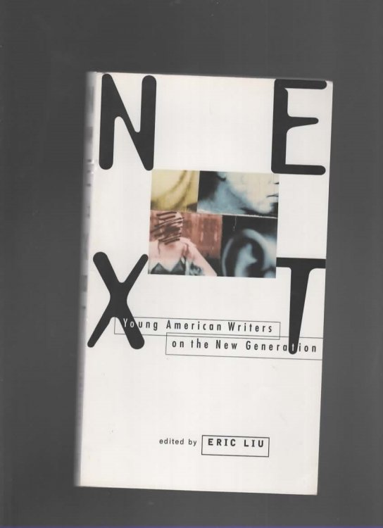 NEXT Young American Writers on the New Generation