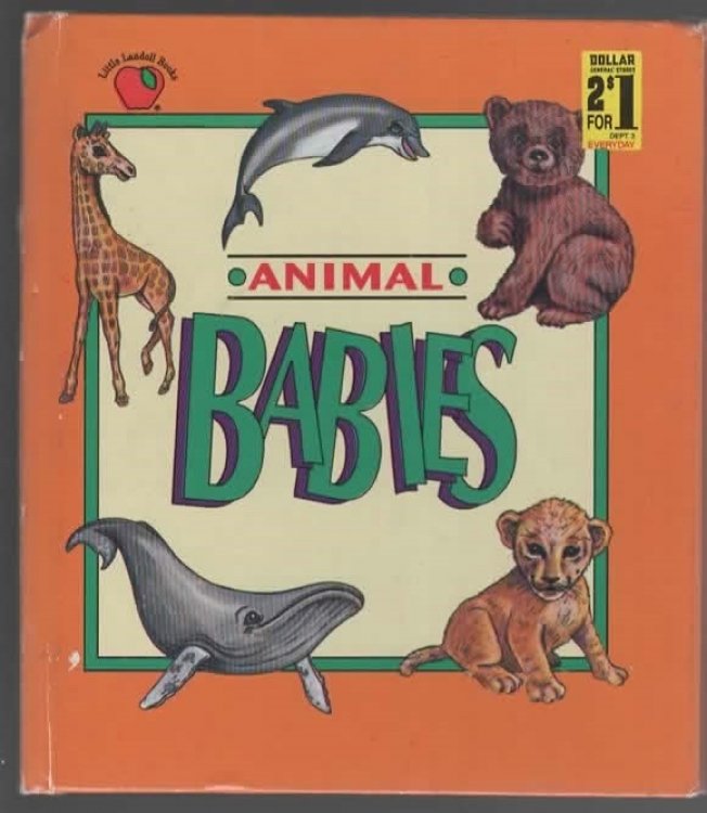 ANIMAL BABIES