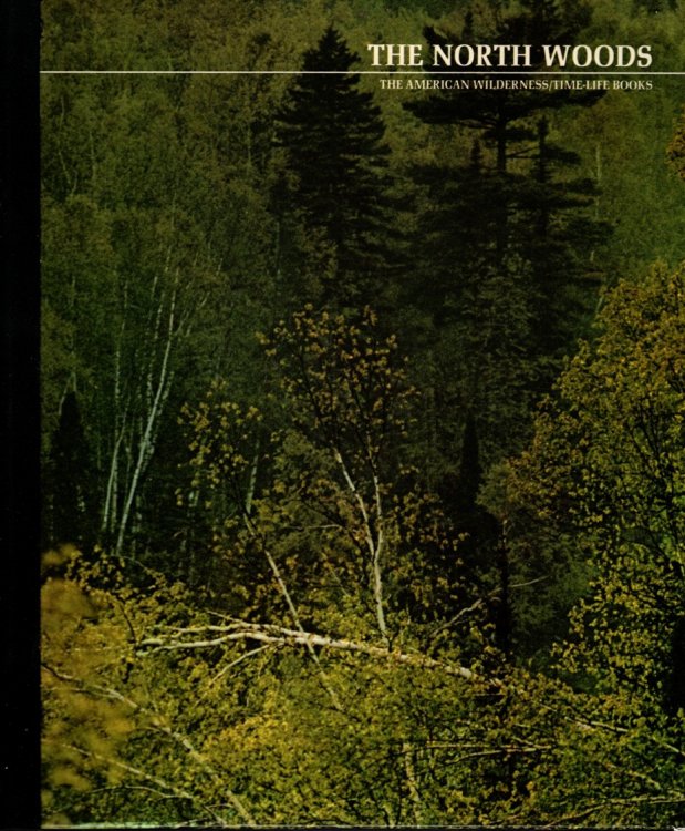 THE NORTH WOODS,
