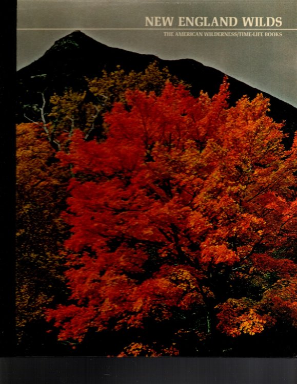 THE NEW ENGLAND WILDS