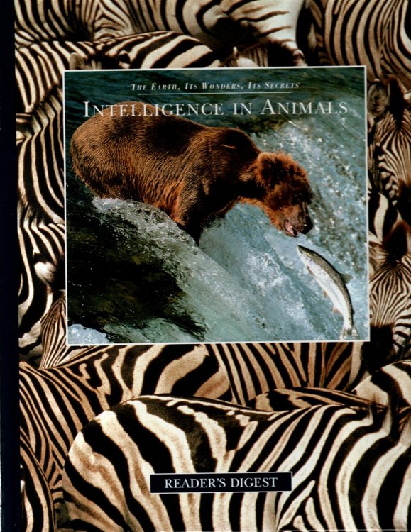 INTELLIGENCE IN ANIMALS