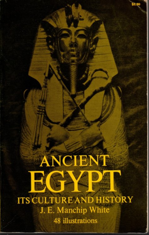 ANCIENT EGYPT Its Culture and History