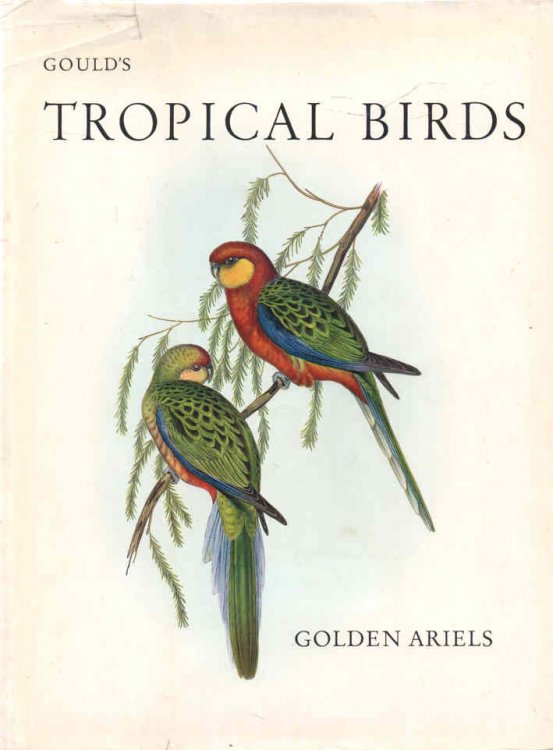 Gould's Tropical Birds