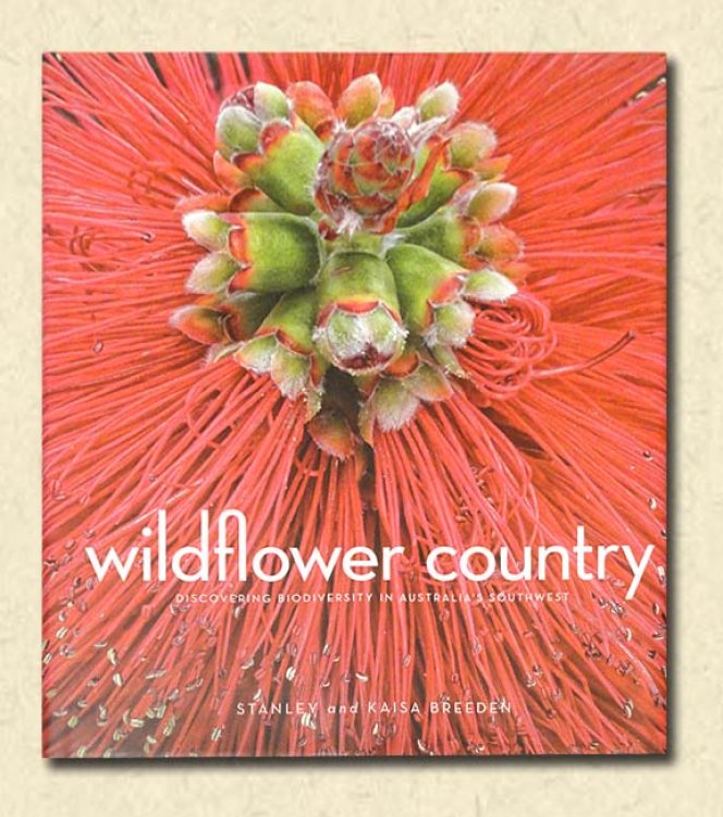 Wildflower Country Discovering biodiversity in Australia's Southwest
