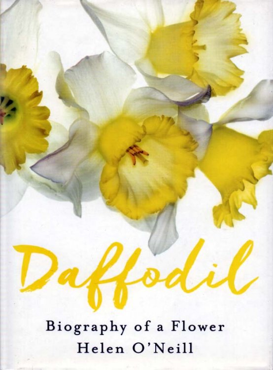 Daffodil Biography of a Flower