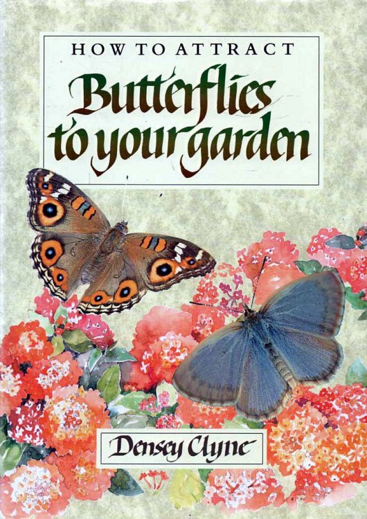 How to Attract Butterflies to Your Garden - signed