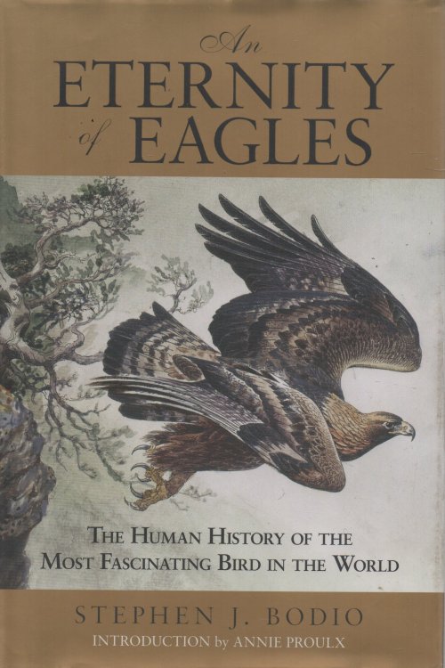 An Eternity of Eagles The Human History of the Most Fascinating Bird in the World
