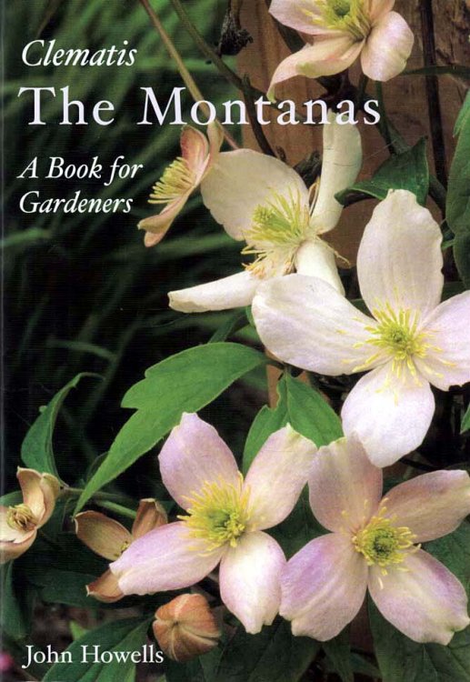 Clematis - The Montanas A Book for Gardeners