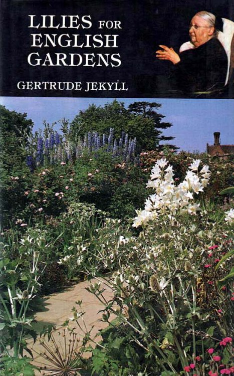 Lilies for English Gardens A Guide for Amateurs