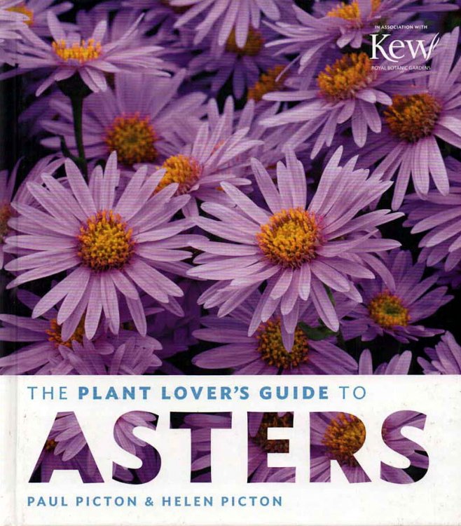 The Plant Lover's Guide to Asters in Association with Kew Royal Botanical Gardens