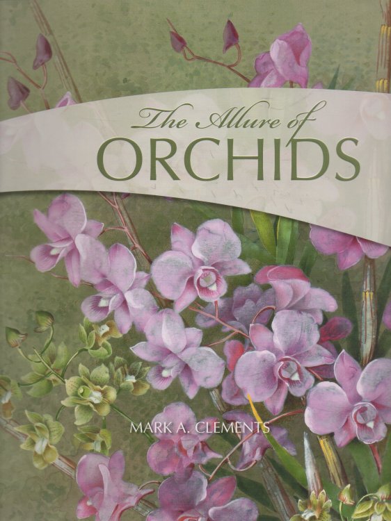 The Allure of Orchids