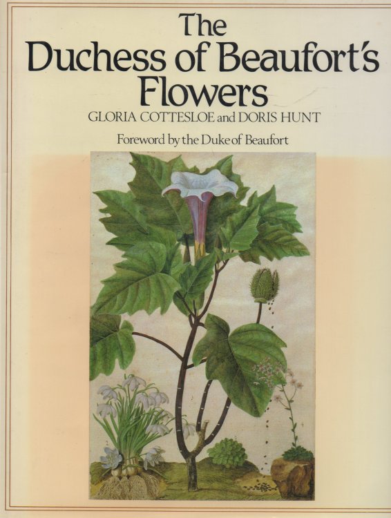 The Duchess of Beaufort's Flowers