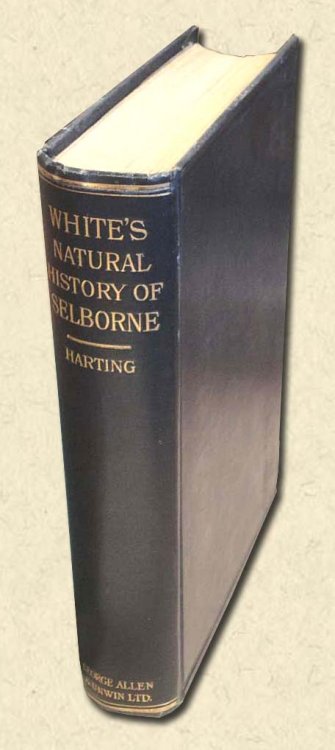The Natural History and Antiquities of Selborne in the County of Southampton - Stereotyped edition