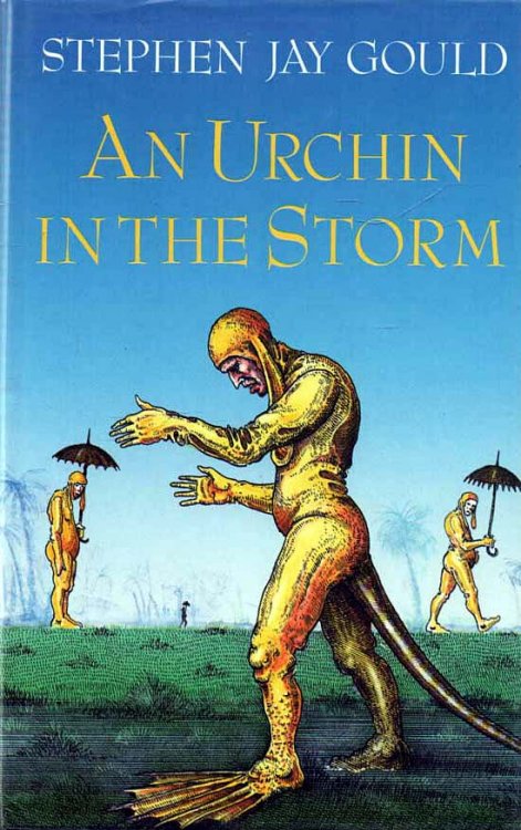 An Urchin in the Storm Essays about Books and Ideas