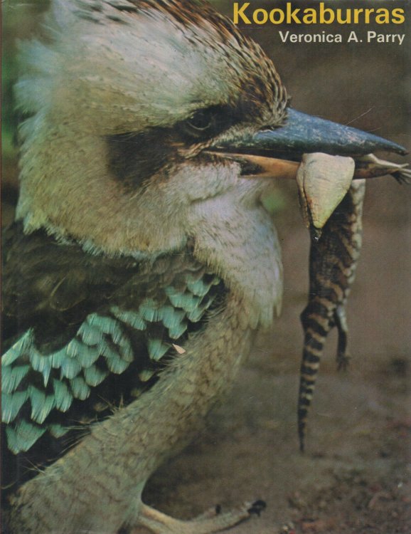 Kookaburras