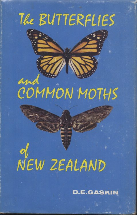 Image for The Butterflies and Common Moths of New Zealand The Butterflies and Common Moths of New Zealand