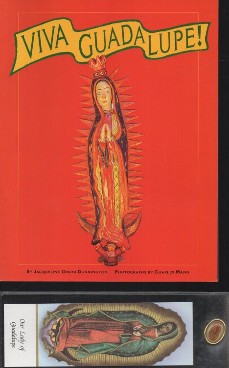 Viva Guadalupe! The Virgin in New Mexican Popular Art