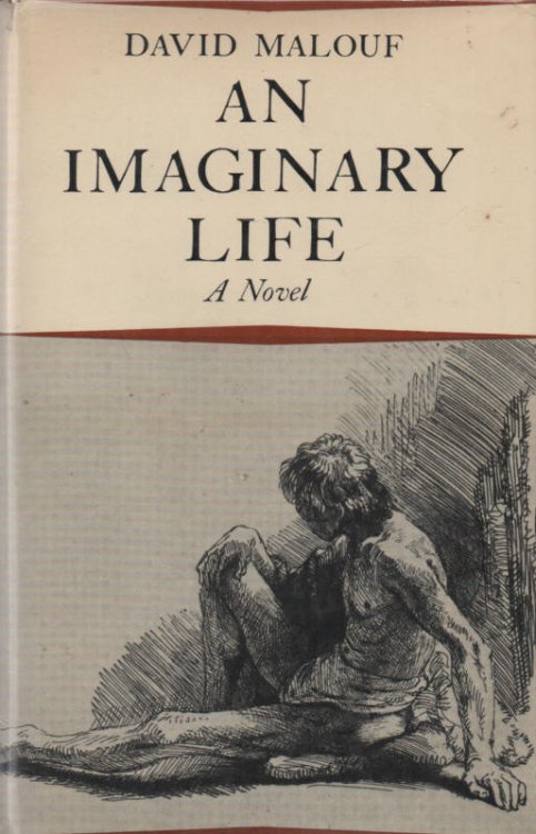 An Imaginary Life