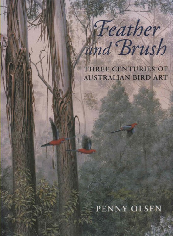 Feather and Brush