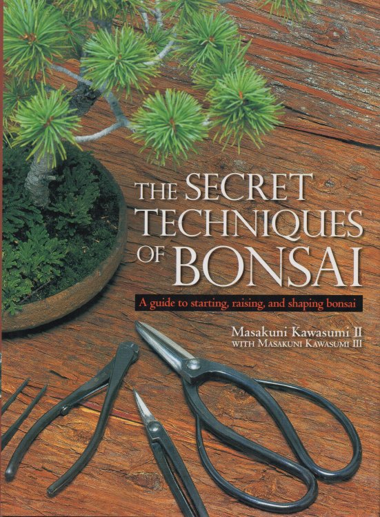 The Secret Techniques of Bonsai A Guide to Starting, Raising, and Shaping Bonsai