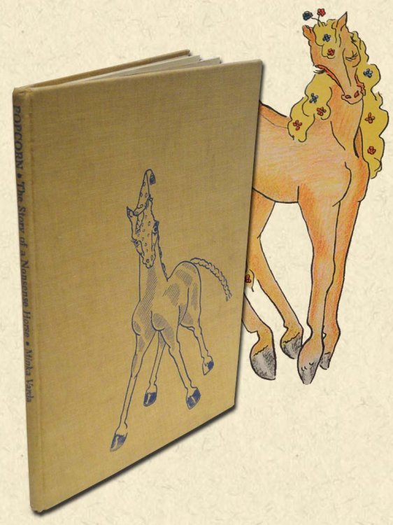 Popcorn The Story of a Nonsense Horse