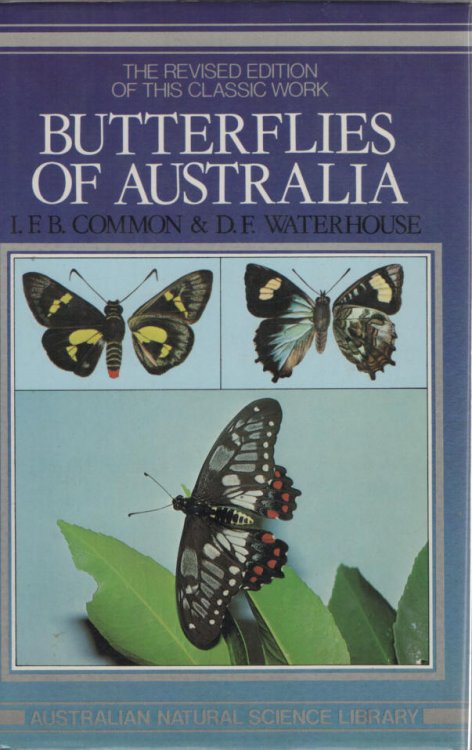 Butterflies of Australia - revised edition Australian Natural Science Library