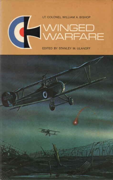 Winged Warfare