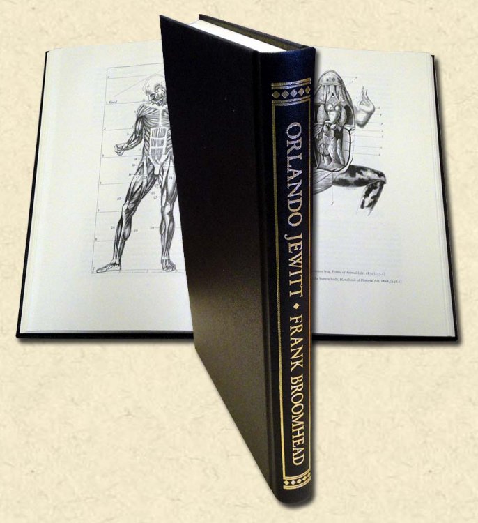 The Book Illustrations of Orlando Jewitt
