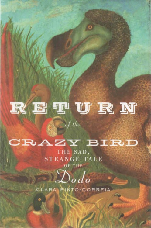 Return of the Crazy Bird The Sad, Strange Tale of the Dodo