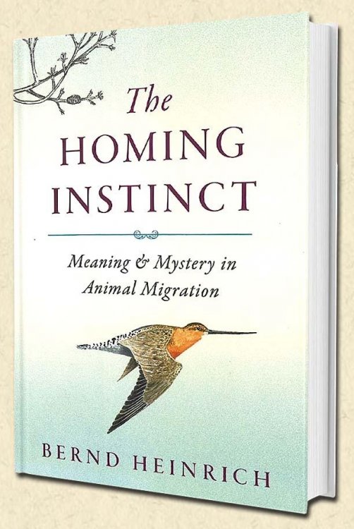 The Homing Instinct: The Story and Science of Migration
